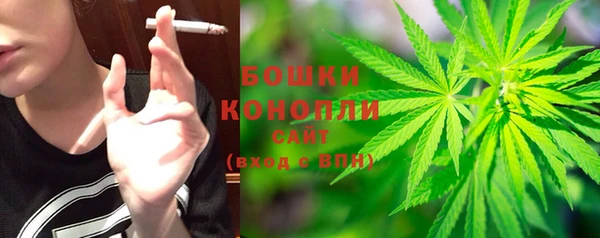 крисы Белокуриха