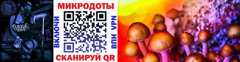 Псилоцибиновые грибы GOLDEN TEACHER  Калуга 